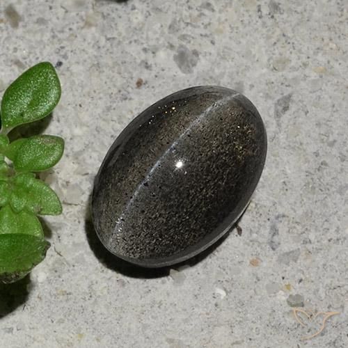 1.48ct Naturale Grigio scuro Scapolite effetto occhio di gatto, Ovale, Traslucido