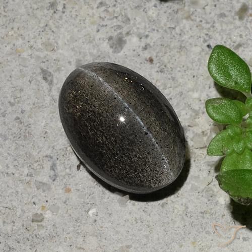 Scapolite occhio di gatto Grigio scuro naturale da 1.48 ct, Ovale, Traslucido