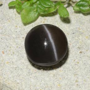 Scapolite occhio di gatto Marrone naturale da 1.96 ct, Taglio rotondo, Traslucido