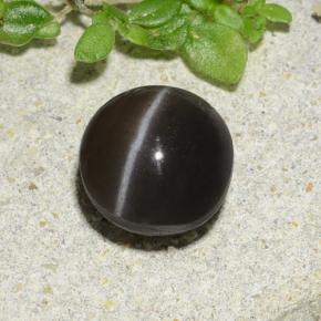 Scapolite occhio di gatto Marrone naturale da 1.96 ct, Taglio rotondo, Traslucido