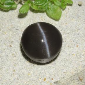 Cat's eye scapolite naturale nero da 2,49 ct, taglio rotondo, traslucido