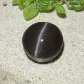 Cat's eye scapolite naturale nero da 2,49 ct, taglio rotondo, traslucido