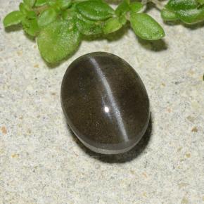 Cat's eye scapolite naturale nero da 1,46 ct, taglio ovale, traslucido