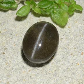Cat's eye scapolite naturale nero da 1,46 ct, taglio ovale, traslucido