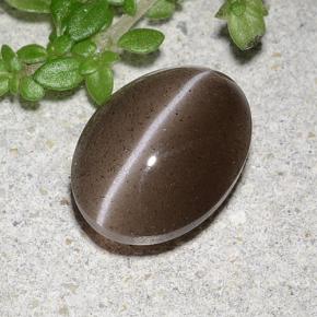 Cat's eye scapolite naturale marrone da 2,20 ct, taglio ovale, traslucido