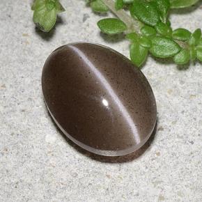Cat's eye scapolite naturale marrone da 2,20 ct, taglio ovale, traslucido