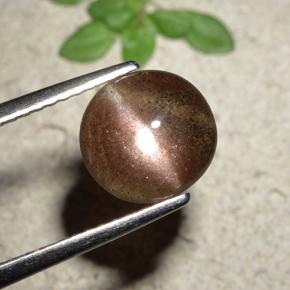 Cat's eye scapolite naturale marrone da 1,76 ct, taglio rotondo, traslucido