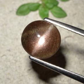 Cat's eye scapolite naturale marrone da 1,76 ct, taglio rotondo, traslucido