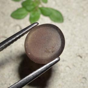 Cat's eye scapolite naturale marrone da 1,76 ct, taglio rotondo, traslucido
