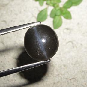 Cat's eye scapolite naturale nero da 3,23 ct, taglio rotondo, opaco
