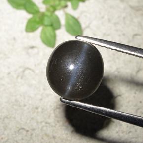 Cat's eye scapolite naturale nero da 3,23 ct, taglio rotondo, opaco