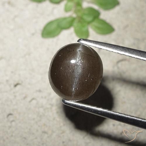 Scapolite occhio di gatto Marrone medio naturale da 2.56 ct, Rotondo, Traslucido