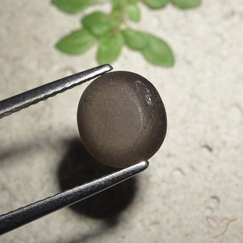 Scapolite occhio di gatto Marrone medio naturale da 2.56 ct, Rotondo, Traslucido