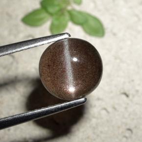 Cat's eye scapolite naturale marrone da 1,80 ct, taglio rotondo, traslucido