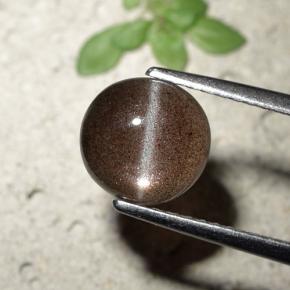 Cat's eye scapolite naturale marrone da 1,80 ct, taglio rotondo, traslucido