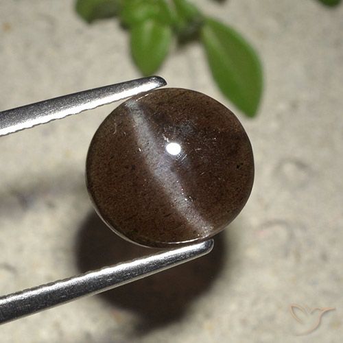 Scapolite occhio di gatto Marrone cioccolato naturale da 2.01 ct, Taglio rotondo, Traslucido