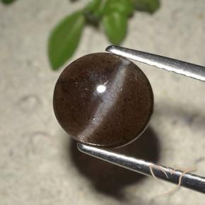 Scapolite occhio di gatto Marrone cioccolato naturale da 2.01 ct, Taglio rotondo, Traslucido