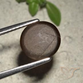 Scapolite occhio di gatto Marrone cioccolato naturale da 2.01 ct, Taglio rotondo, Traslucido