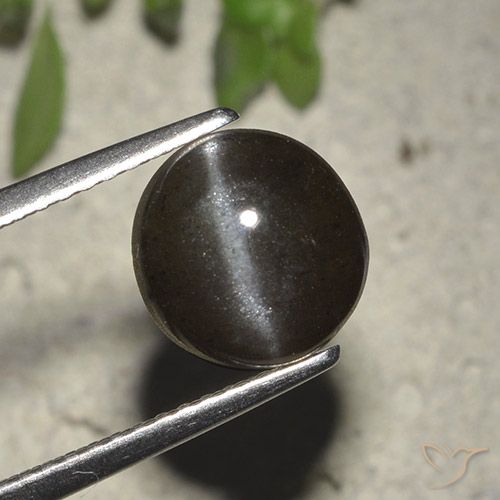 Cat's eye scapolite naturale nero da 2,72 ct, taglio rotondo, traslucido