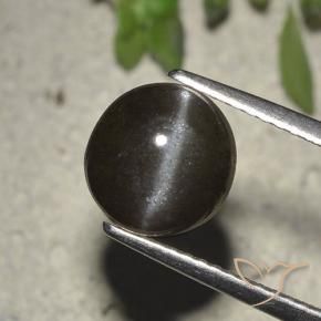 Cat's eye scapolite naturale nero da 2,72 ct, taglio rotondo, traslucido