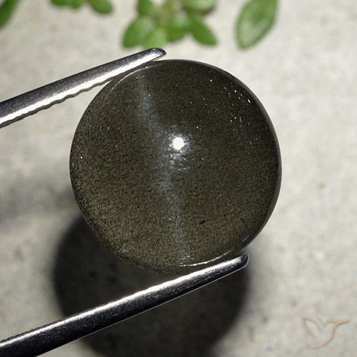 6.50ct Naturale Nero Scapolite occhio di gatto, Rotondo, Traslucido