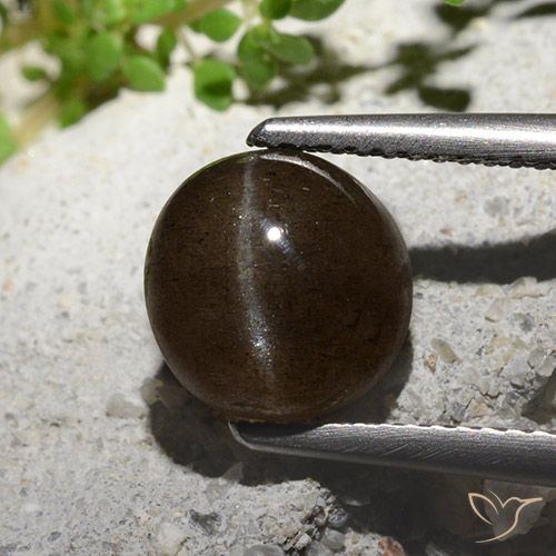 3.08ct Naturale Marrone medio Scapolite occhio di gatto, Rotondo, Traslucido