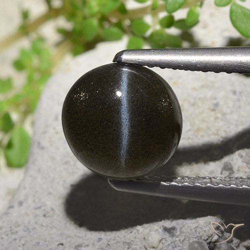 2.60ct Naturale Nero Scapolite occhio di gatto, Rotondo, Traslucido
