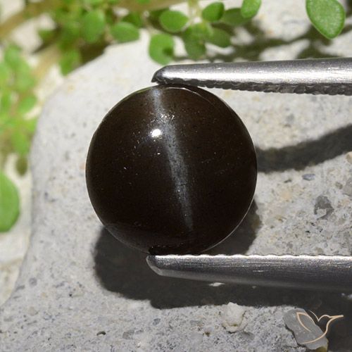 2.55ct Naturale Nero Scapolite occhio di gatto, Rotondo, Traslucido