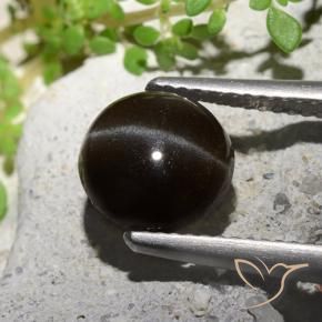 Scapolite occhio di gatto Nero naturale da 2.55 ct, Rotondo, Traslucido