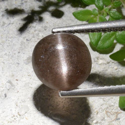 2.76ct Naturale Marrone Scapolite occhio di gatto, Rotondo, Traslucido