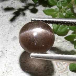 Scapolite occhio di gatto Marrone naturale da 2.76 ct, Rotondo, Traslucido