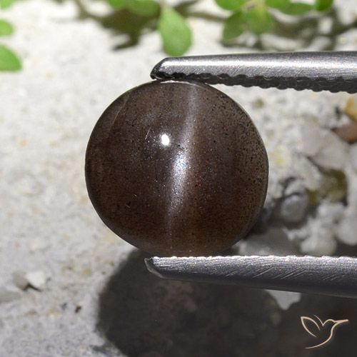 1.82ct Naturale ombra marrone Scapolite occhio di gatto, Rotondo, Traslucido