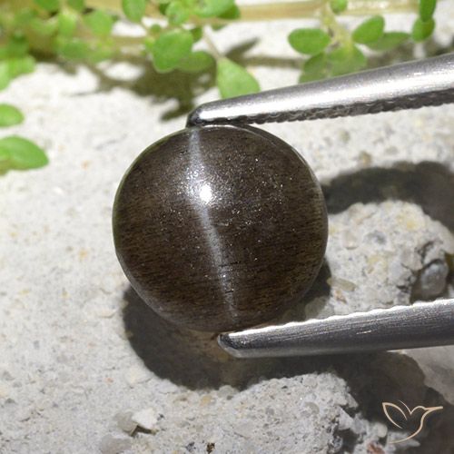 2.16ct Naturale Marrone medio-chiaro Scapolite occhio di gatto, Rotondo, Traslucido