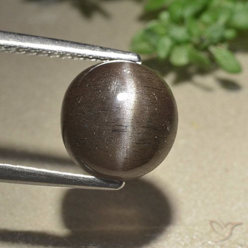 3.07ct Naturale ombra marrone Scapolite effetto occhio di gatto, Rotondo, Traslucido