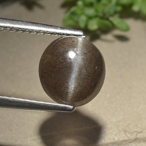 2.54ct Naturale ombra marrone Scapolite effetto occhio di gatto, Ovale, Traslucido