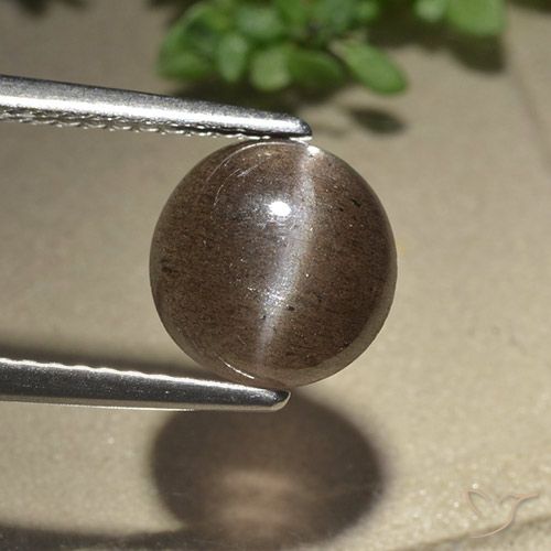 2.28ct Naturale Marrone medio Scapolite occhio di gatto, Rotondo, Traslucido