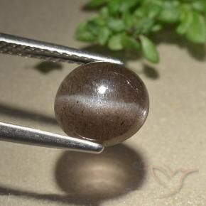 Scapolite occhio di gatto Marrone medio naturale da 2.28 ct, Rotondo, Traslucido
