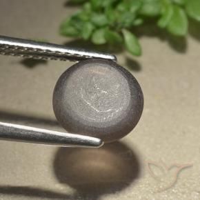 Scapolite occhio di gatto Marrone medio naturale da 2.28 ct, Rotondo, Traslucido