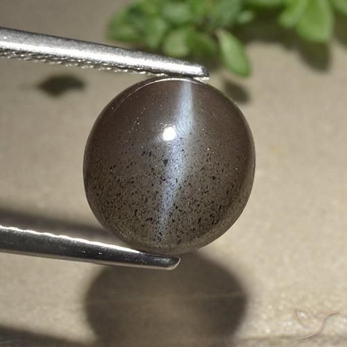 3.06ct Naturale Espresso Marrone Scapolite occhio di gatto, Rotondo, Traslucido
