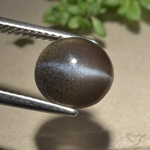 Scapolite occhio di gatto Espresso Marrone naturale da 3.06 ct, Rotondo, Traslucido