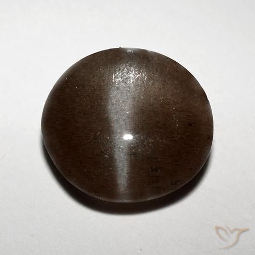 3.10ct Naturale Marrone cioccolato Scapolite effetto occhio di gatto, Rotondo, Traslucido