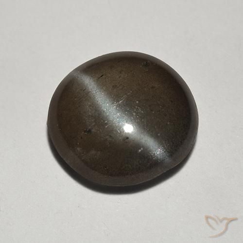 Scapolite occhio di gatto Nero naturale da 1.78 ct, Taglio rotondo, Traslucido
