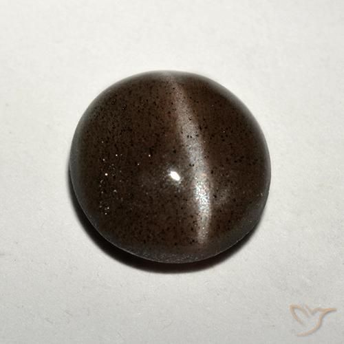 Cat's eye scapolite naturale marrone da 1,50 ct, taglio rotondo, traslucido