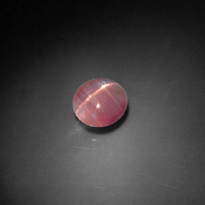 Cat's eye tourmaline naturale rosa da 1,04 ct, trasparente, trasparente/traslucido