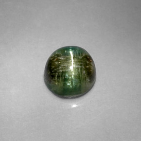 Cat's eye tourmaline naturale verde da 1,20 ct, taglio rotondo, opaco