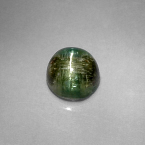 Cat's eye tourmaline naturale verde da 1,20 ct, taglio rotondo, opaco