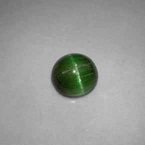 Cat's eye tourmaline naturale verde da 0,85 ct, taglio rotondo, opaco