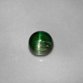 Cat's eye tourmaline naturale verde da 0,67 ct, taglio rotondo, opaco