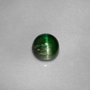 Cat's eye tourmaline naturale verde da 0,67 ct, taglio rotondo, opaco