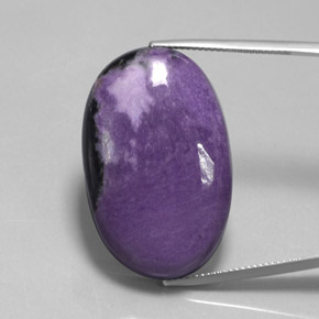 Charoite Viola naturale da 49.75 ct, Ovale, Opaco